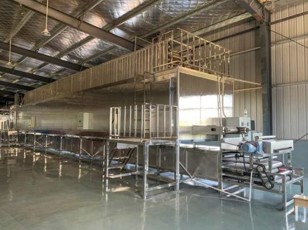 挑選紅薯粉條機